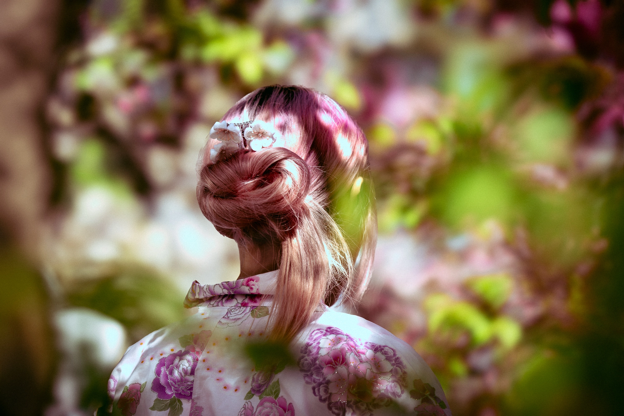 Cherry Blossom (2026)