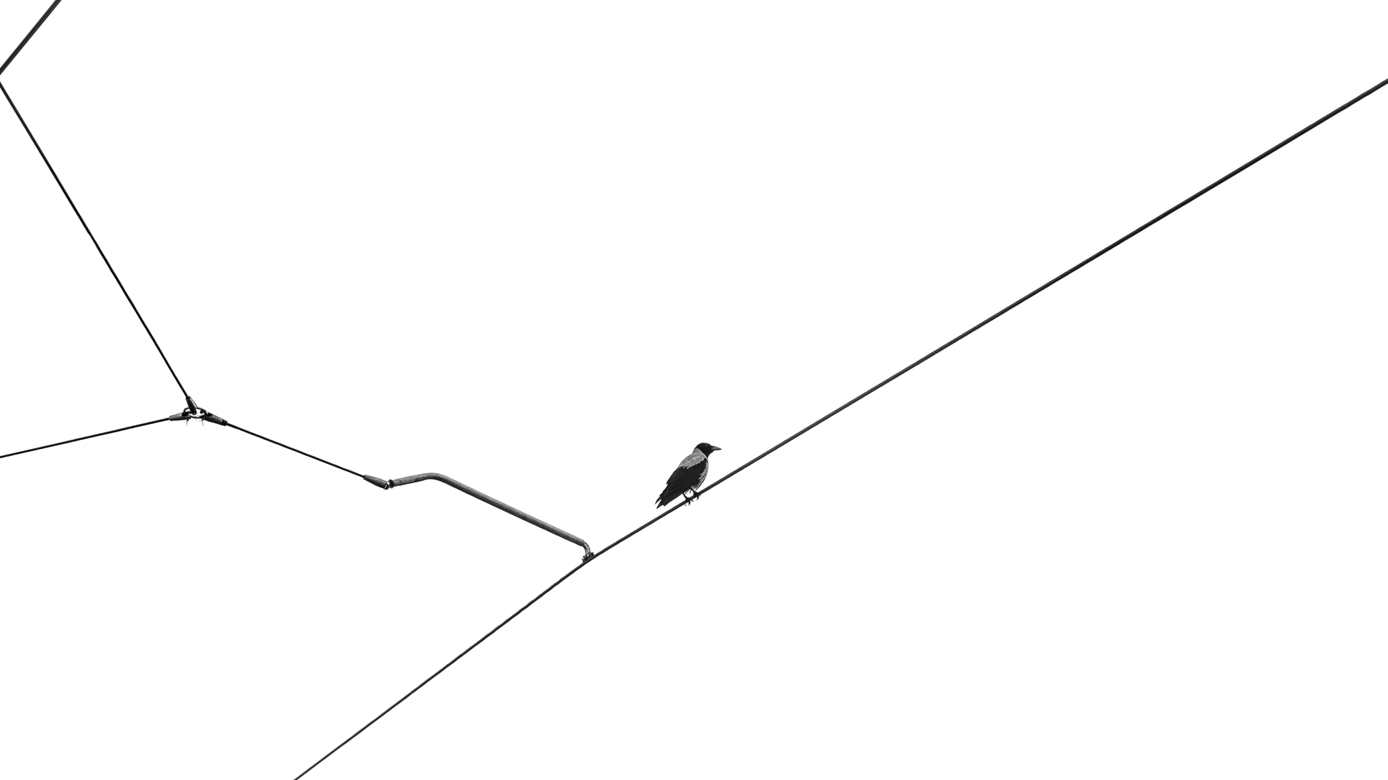 Wires of Solitude